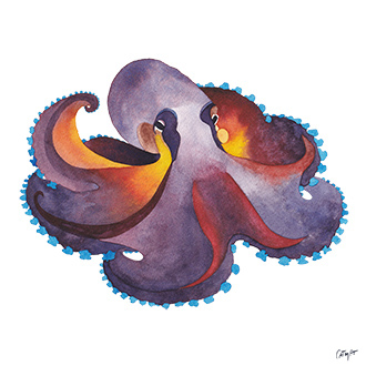 aquarelle animaux poulpe octopus bleu outremer rouge jaune bleu de phtalo animal marin CatMat